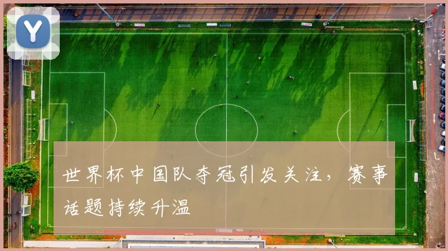 世界杯中国队夺冠引发关注,赛事话题持续升温
