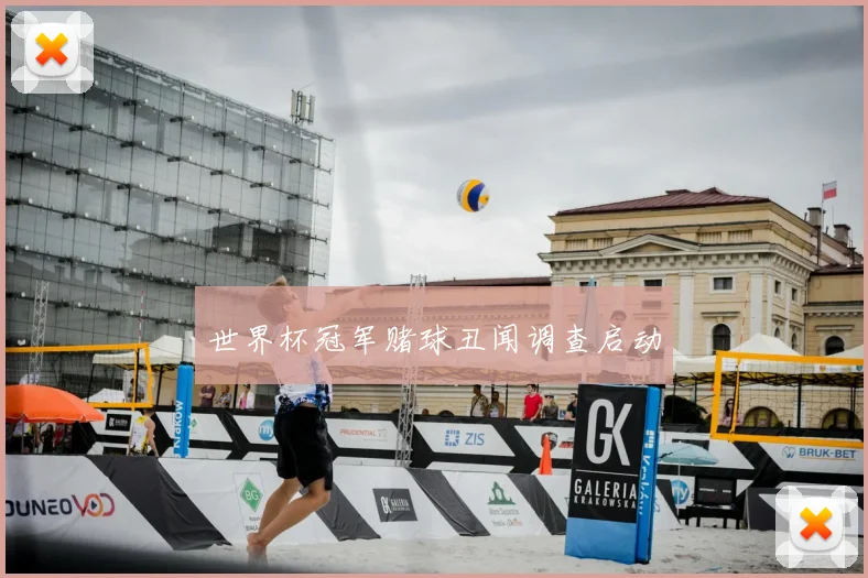 世界杯冠军赌球丑闻调查启动