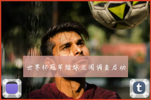 世界杯冠军赌球丑闻调查启动