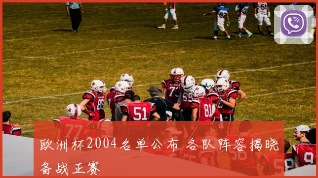 欧洲杯2004名单公布 各队阵容揭晓备战正赛