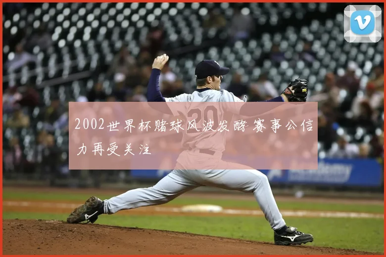 2002世界杯赌球风波发酵 赛事公信力再受关注