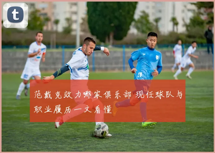 范戴克效力哪家俱乐部 现任球队与职业履历一文看懂